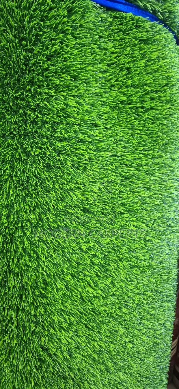 Tipic Artificial Turf - 1