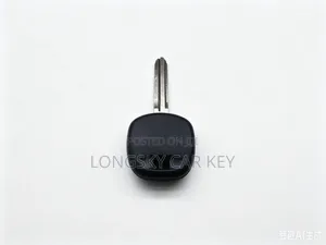 Physical Ignition Key