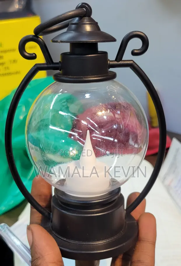 MeeTo Decorative Lantern - 1