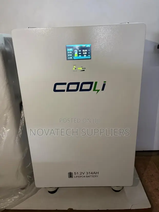 Original Cooli 314Ah LiFePO4 Energy Storage Battery - 1