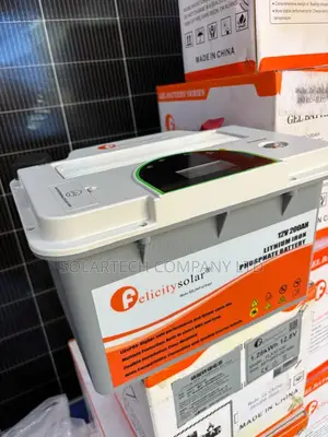Felicity 2.56kWh LiFePO4 Solar Battery with BMS