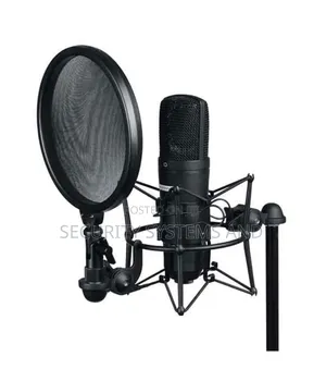 Professional Microphone Pop Filter with Gooseneck Clip Holder