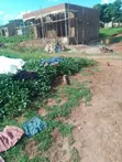 Commercial Land for Sale in Wakiso - 2