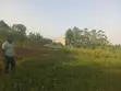 1 Acre Land for Sale in Kakiri, Wakiso - 1