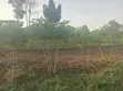 1 Acre Land for Sale in Kakiri, Wakiso - 4