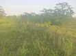 1 Acre Land for Sale in Kakiri, Wakiso - 5