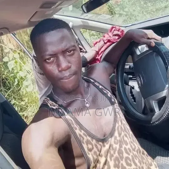 Professional Driver CV - 1 Year Experience - 1