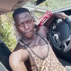 Professional Driver CV - 1 Year Experience