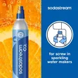 SodaStream CO2 Cylinder for Sparkling Water Maker (Blue Screw) - 1