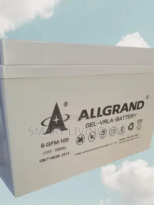 Heavy-Duty 100Ah Allgrand Deep Cycle Battery
