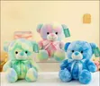 Colorful Bear Plush Toy - 2