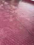 Anti-Slip Rubber Carpet (Per Square Meter) - 2