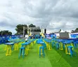 Indoor and Outdoor Green Artificial Grass Carpet - 2