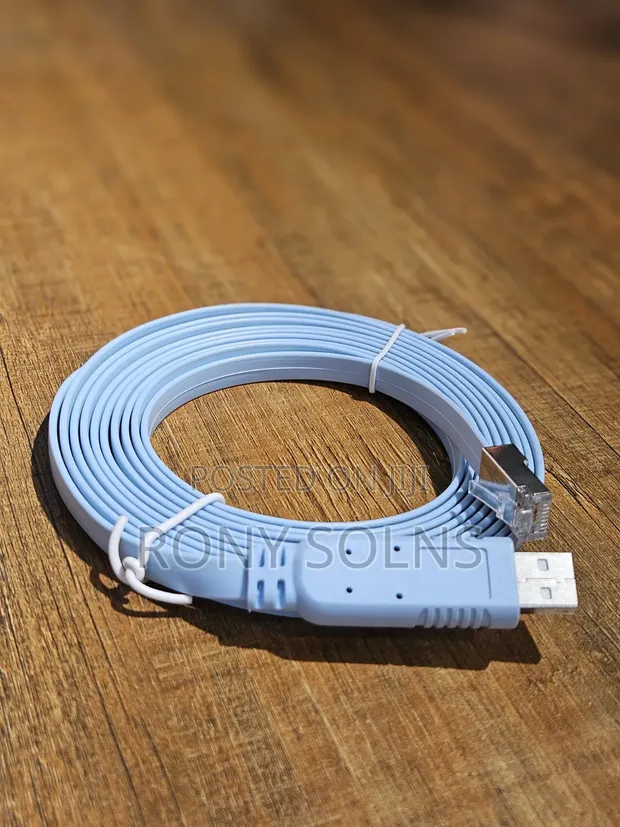 USB to RJ45 Console Cable with FTDI Chip - 1