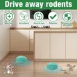 Rat & Mouse Repellent Balls - 4