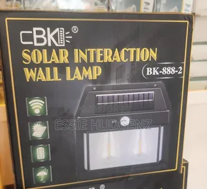 2-Bulb Solar Wall Lamp with Motion Sensor