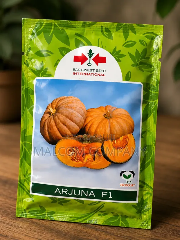 Arjuna F1 Pumpkin Seeds 10g - 1