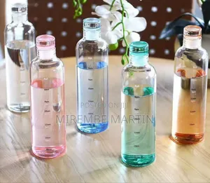 Luxury Time Index Water Bottle (Plastic)