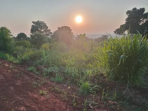 8 Acres Land for Sale in Kyagwe, Kimera Village - 1