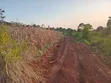 8 Acres Land for Sale in Kyagwe, Kimera Village - 2
