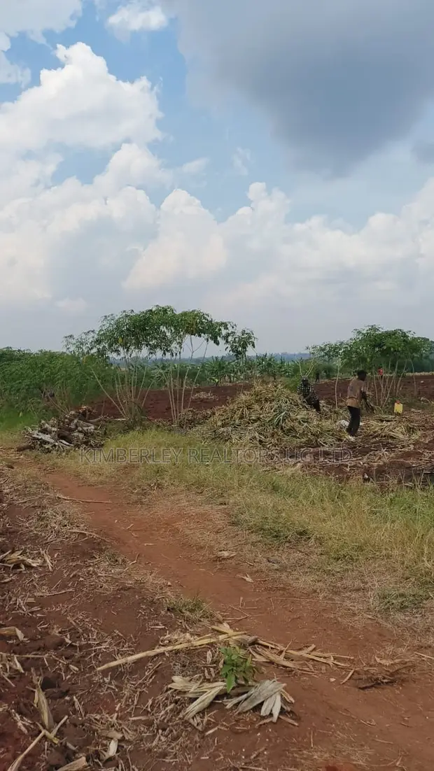 Land for Sale - Bugiri, Kayunga-Jinja Road - 1