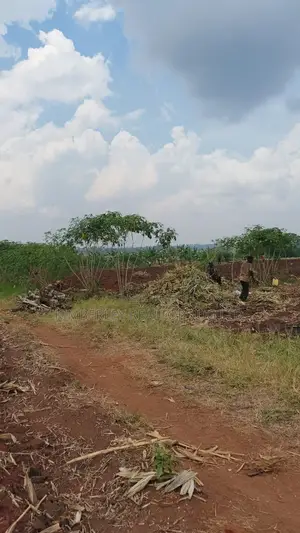 Land for Sale - Bugiri, Kayunga-Jinja Road