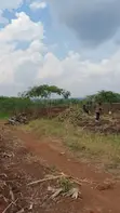 Land for Sale - Bugiri, Kayunga-Jinja Road - 1