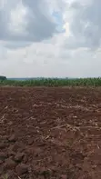 Land for Sale - Bugiri, Kayunga-Jinja Road - 4