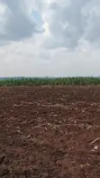Land for Sale - Bugiri, Kayunga-Jinja Road - 5