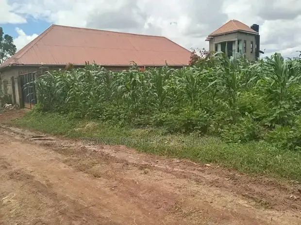 Titled Plots for Sale in Wakiso Mubango - 1
