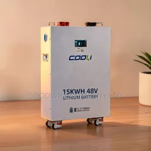 Cooli 15kWh 48V Lithium Battery Pack