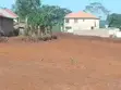 Land for Sale in Namusera, Wakiso - 4