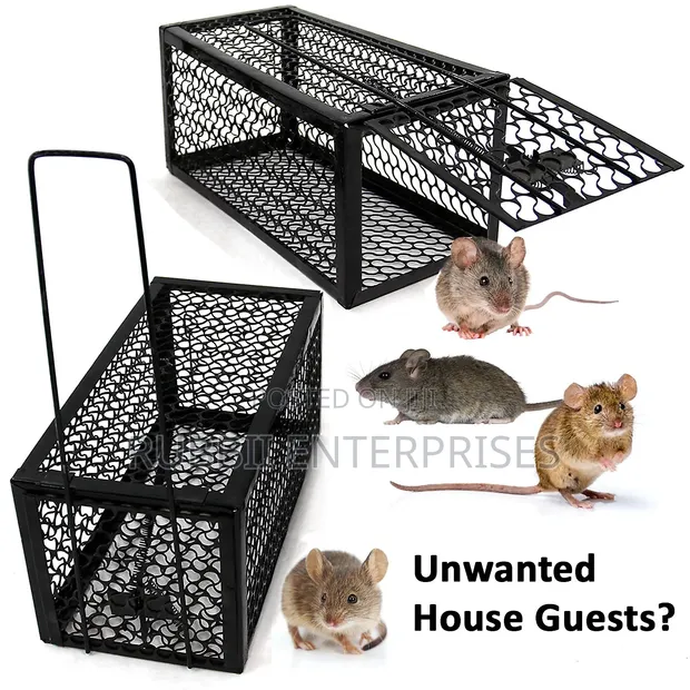 Rat Trap / Mouse Trap - 1