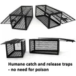 Rat Trap / Mouse Trap - 3
