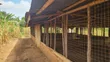 Plot for Sale in Mwera Town Council - 3