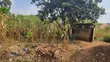 Plot for Sale in Mwera Town Council - 4