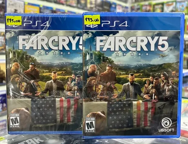 Far Cry 5 Game CD for PS4 - 1