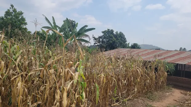 Half Acre Plot for Sale in Mwera Town Council - 1