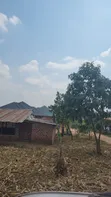 Half Acre Plot for Sale in Mwera Town Council - 2
