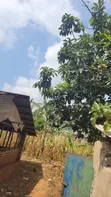 Half Acre Plot for Sale in Mwera Town Council - 4