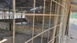Half Acre Plot for Sale in Mwera Town Council - 5