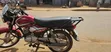 TVS HLX 125 2025 Red - 4