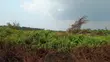 49 Acres Farmland in Gayaza Busika, Janda Village - 1