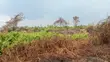 49 Acres Farmland in Gayaza Busika, Janda Village - 2
