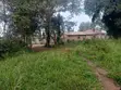 49 Acres Farmland in Gayaza Busika, Janda Village - 4