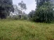 49 Acres Farmland in Gayaza Busika, Janda Village - 5