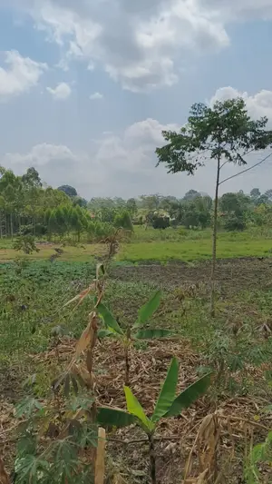 Land for Sale - Nazigo, Kayunga-Jinja Road