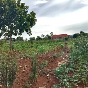 Residential Plot for Sale - Kyanja