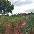 Residential Plot for Sale - Kyanja - 1