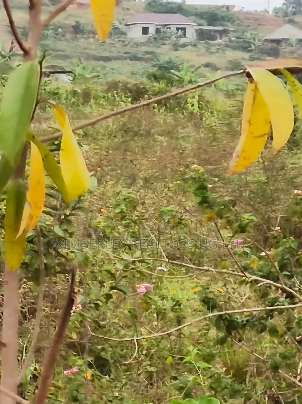 Land for Sale - Namugongo, Nkonzi Estate - 1